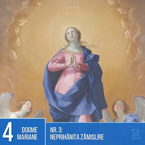 Dogme mariane: Neprihănita Zămislire