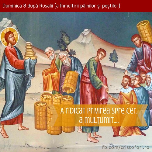 A ridicat privirea spre cer, a mulțumit…
