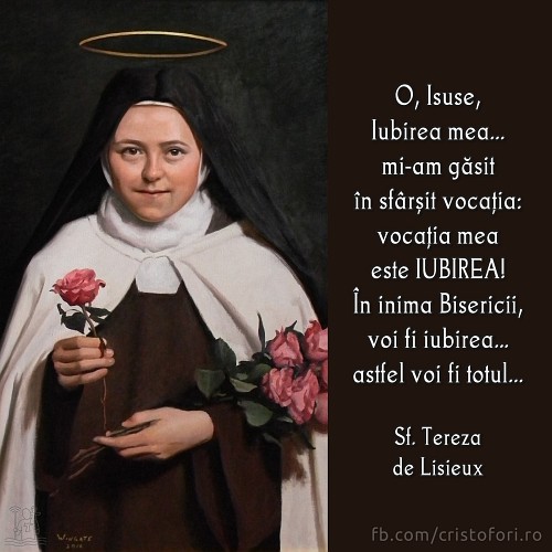 Vocația mea este Iubirea!