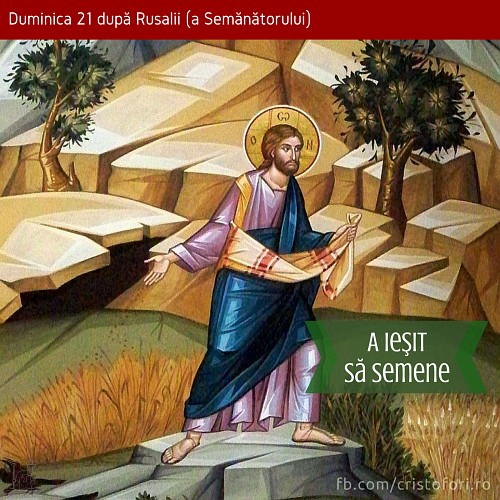 A ieșit să semene