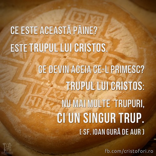 Un singur Trup