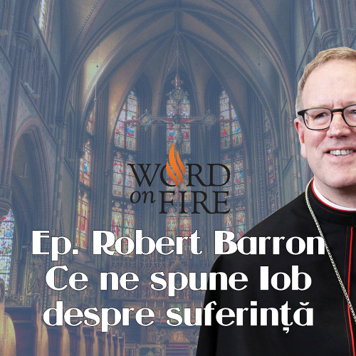 Ce ne spune Iob despre suferință