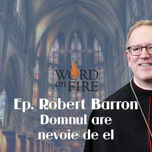 Domnul are nevoie de el