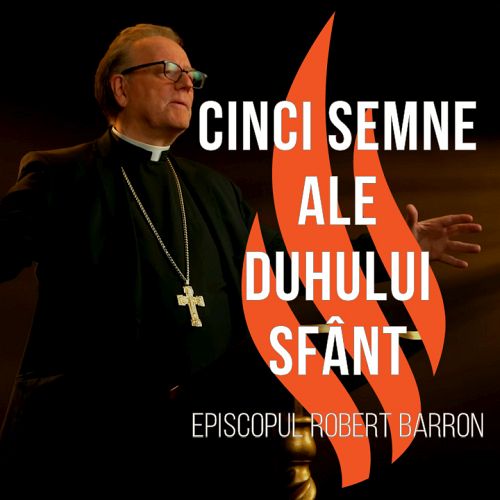 Cinci semne ale Duhului Sfânt